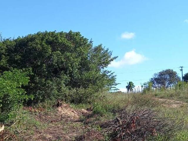 Terreno para Venda em Tibau do Sul - 5