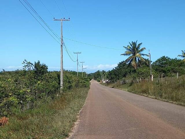 #253 - Terreno para Venda em Tibau do Sul - RN - 1