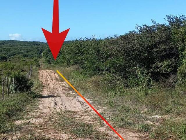#253 - Terreno para Venda em Tibau do Sul - RN - 2