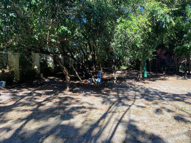 #259 - Terreno para Venda em Tibau do Sul - RN - 2