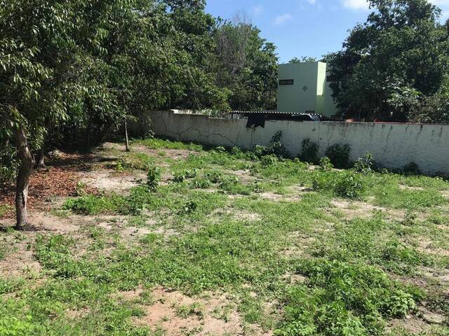 #259 - Terreno para Venda em Tibau do Sul - RN - 1