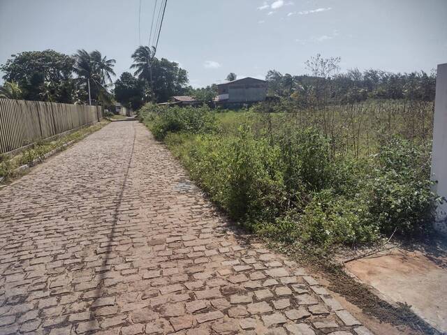 Terreno para Venda em Tibau do Sul - 5