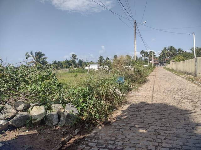 #268 - Terreno para Venda em Tibau do Sul - RN
