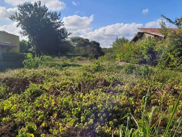 Terreno para Venda em Tibau do Sul - 5