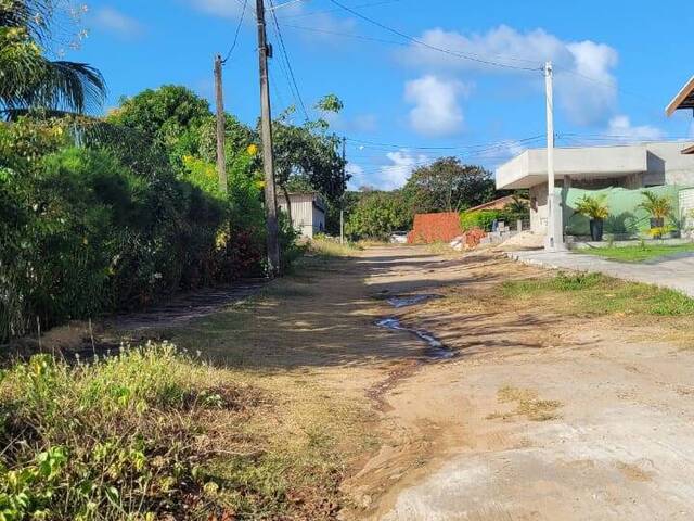 Terreno para Venda em Tibau do Sul - 3