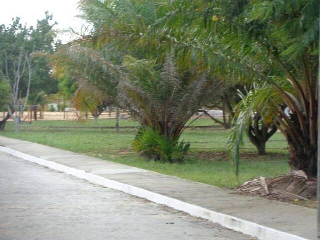 Terreno para Venda em Tibau do Sul - 2