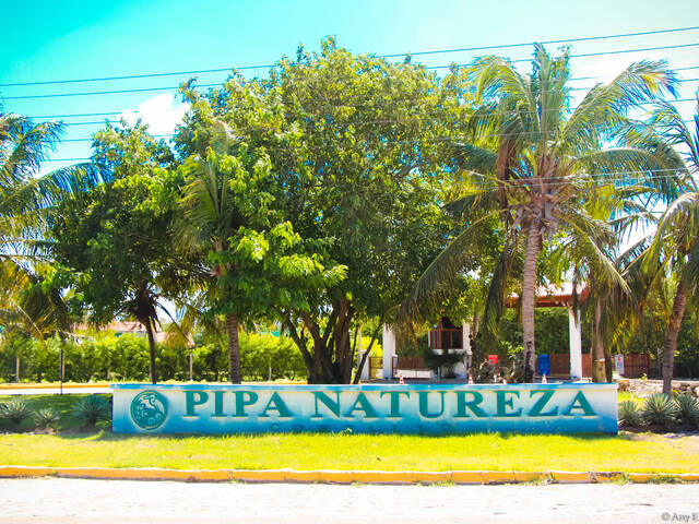 Terreno para Venda em Tibau do Sul - 4
