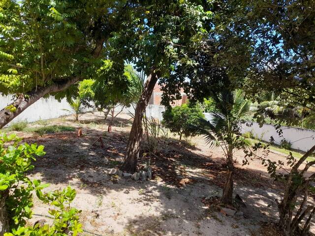 #296 - Área para Venda em Tibau do Sul - RN - 2