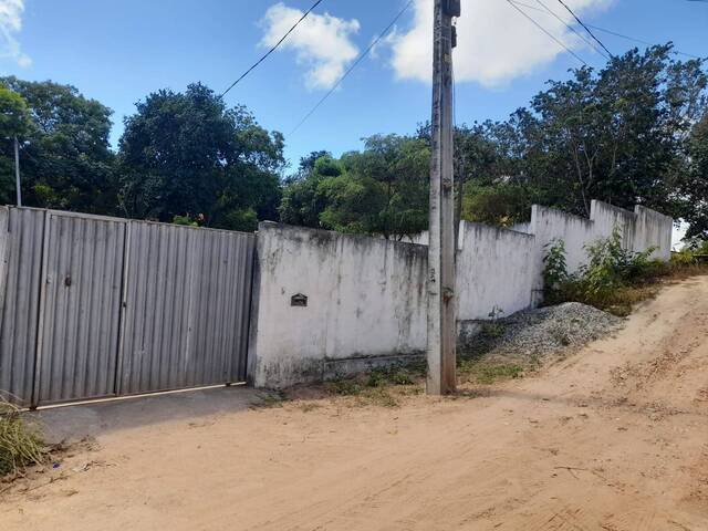 Área para Venda em Tibau do Sul - 4