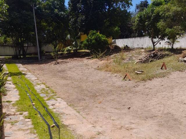 #296 - Área para Venda em Tibau do Sul - RN - 1