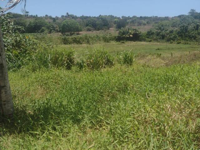 #301 - Sítio para Venda em Tibau do Sul - RN - 2
