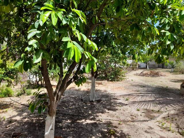 Terreno para Venda em Canguaretama - 4