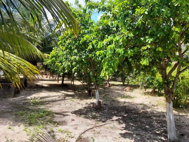 Terreno para Venda em Canguaretama - 5