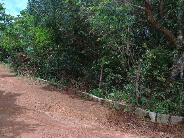 #334 - Terreno para Venda em Tibau do Sul - RN
