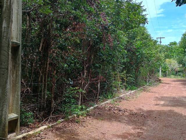 #334 - Terreno para Venda em Tibau do Sul - RN