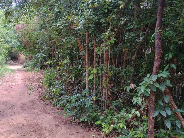 #334 - Terreno para Venda em Tibau do Sul - RN