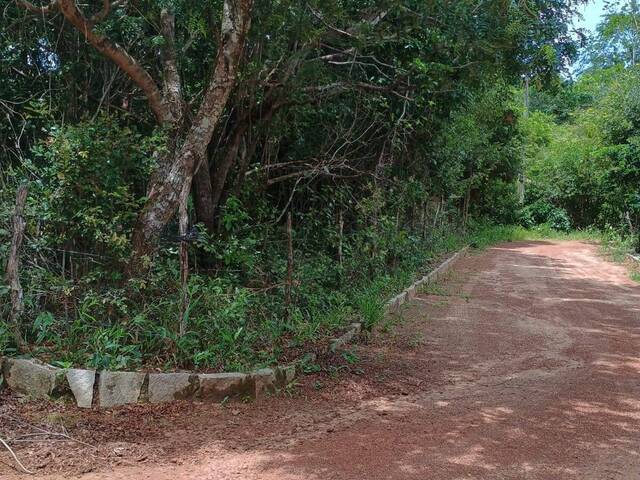Terreno para Venda em Tibau do Sul - 5