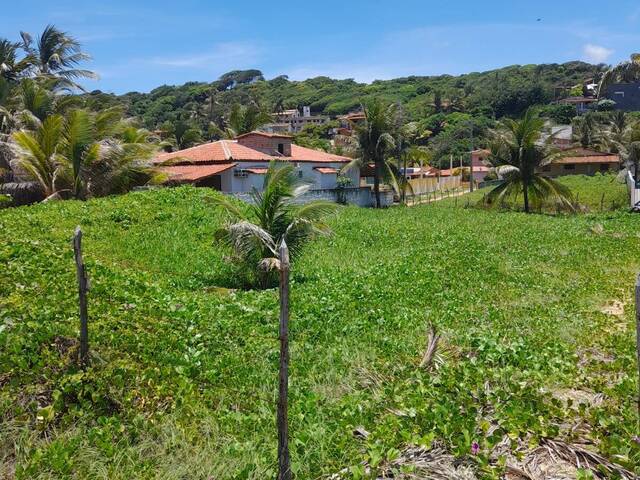 Terreno para Venda em Baía Formosa - 4