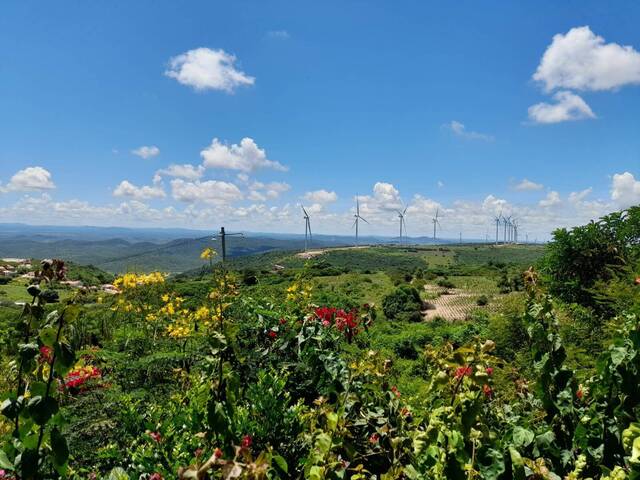 Terreno para Venda em Serra de São Bento - 5