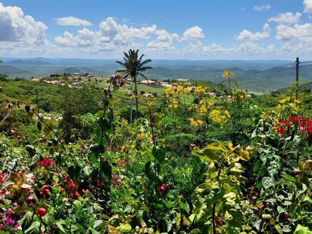 #349 - Terreno para Venda em Serra de São Bento - RN - 3