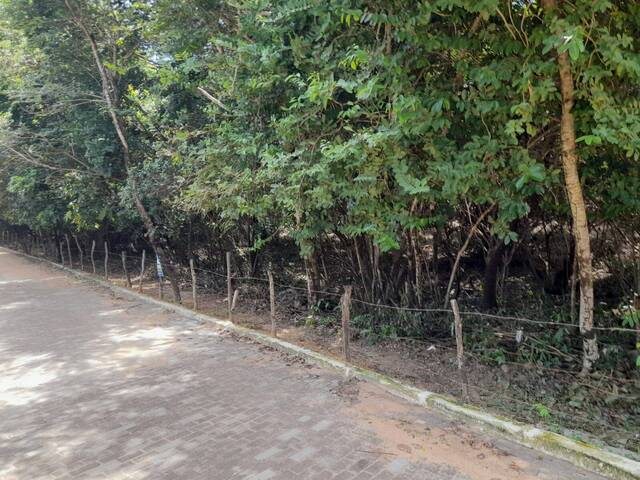 #351 - Terreno para Venda em Tibau do Sul - RN - 2