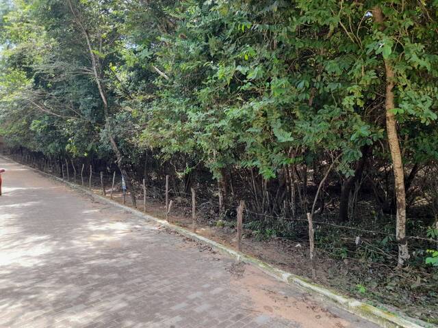 #351 - Terreno para Venda em Tibau do Sul - RN - 3