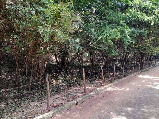 Terreno para Venda em Tibau do Sul - 4