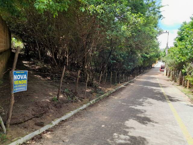 #351 - Terreno para Venda em Tibau do Sul - RN - 1