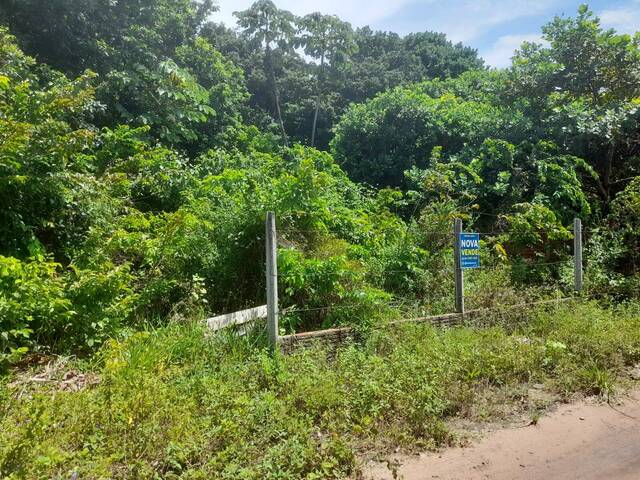 #355 - Terreno para Venda em Tibau do Sul - RN - 1