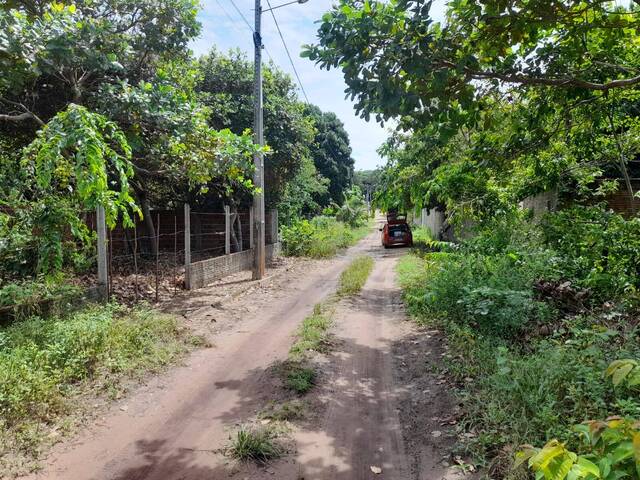 #355 - Terreno para Venda em Tibau do Sul - RN - 2