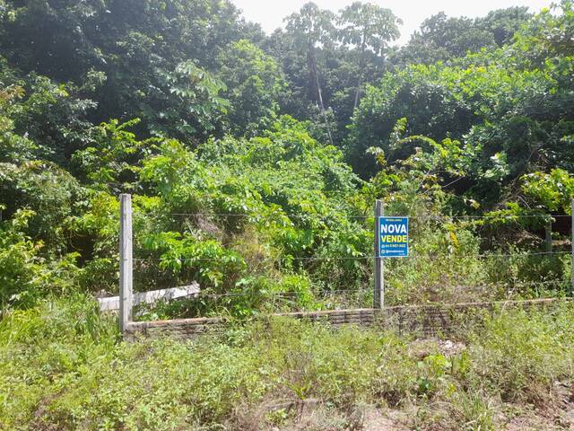 Terreno para Venda em Tibau do Sul - 4