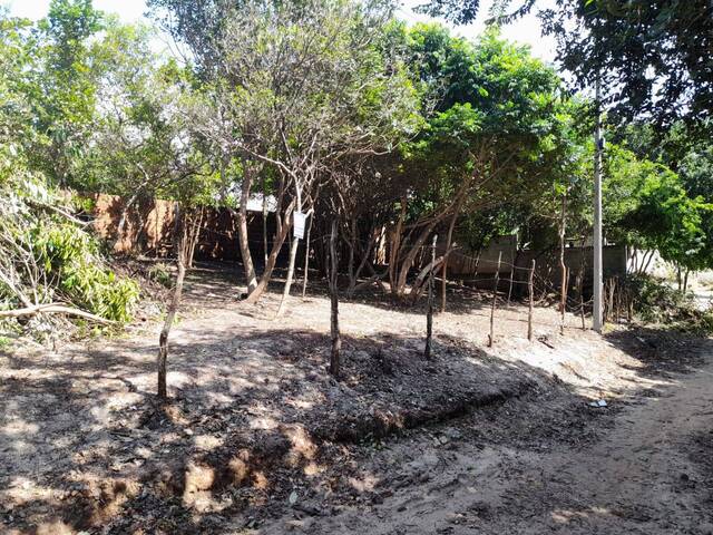 Terreno para Venda em Tibau do Sul - 2