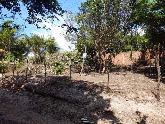 Terreno para Venda em Tibau do Sul - 3