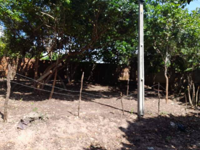 Terreno para Venda em Tibau do Sul - 5