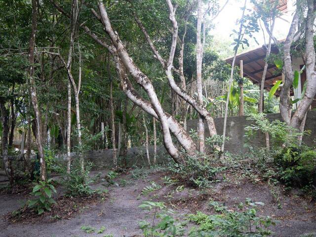 #378 - Casa para Locação em Tibau do Sul - RN - 3