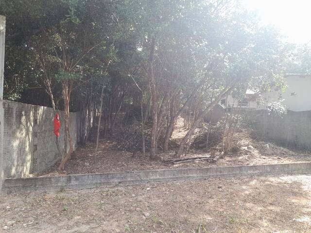 #412 - Terreno para Venda em Tibau do Sul - RN - 3
