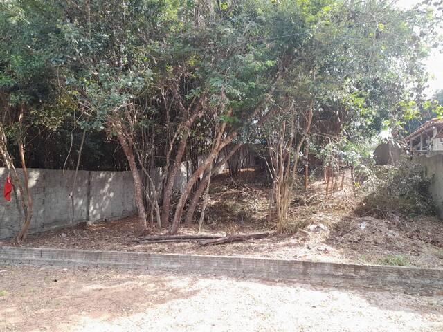 Terreno para Venda em Tibau do Sul - 4