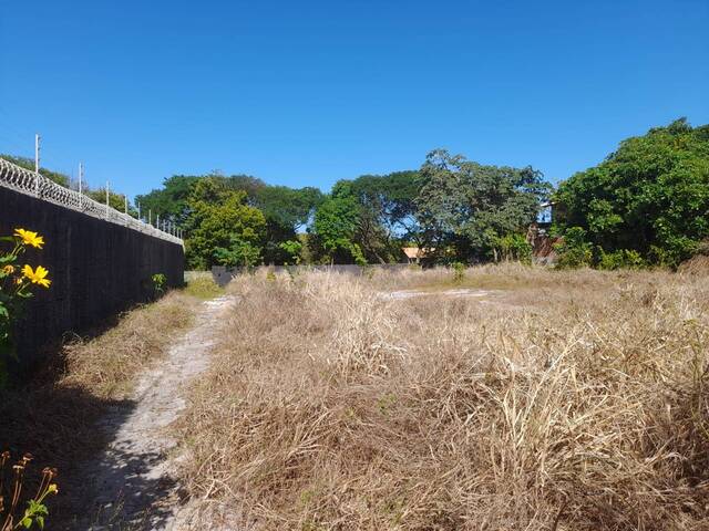 Terreno para Venda em Tibau do Sul - 4