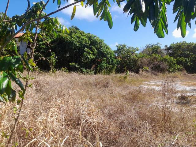 Terreno para Venda em Tibau do Sul - 5