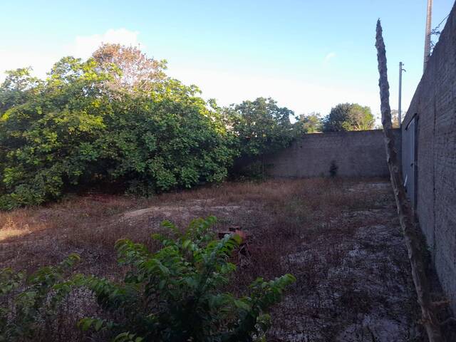 Terreno para Venda em Tibau do Sul - 4