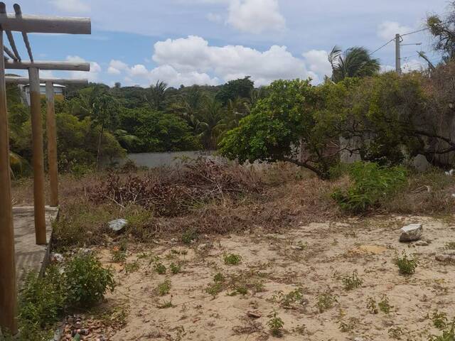 Terreno para Venda em Tibau do Sul - 4