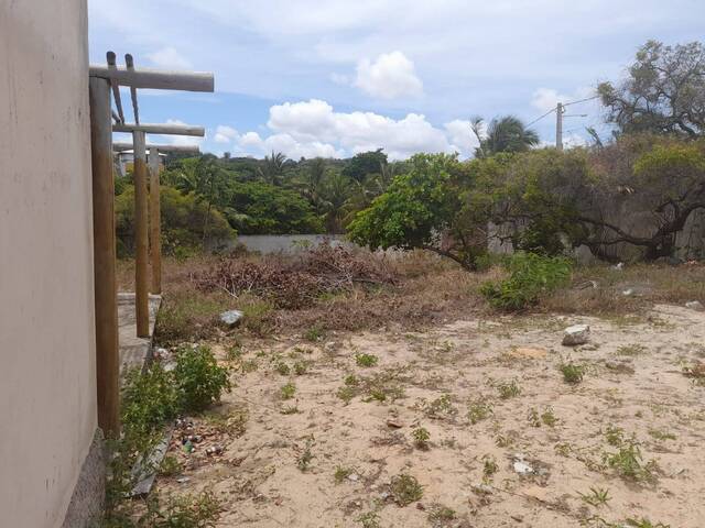 Terreno para Venda em Tibau do Sul - 5