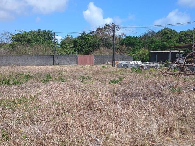 Terreno para Venda em Tibau do Sul - 5