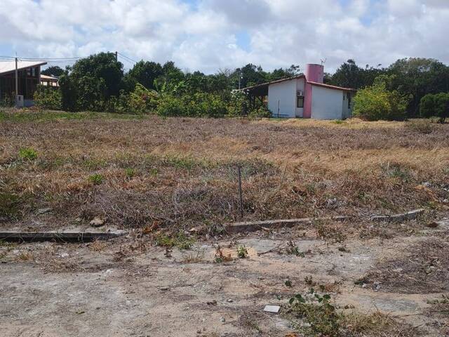 Terreno para Venda em Tibau do Sul - 4
