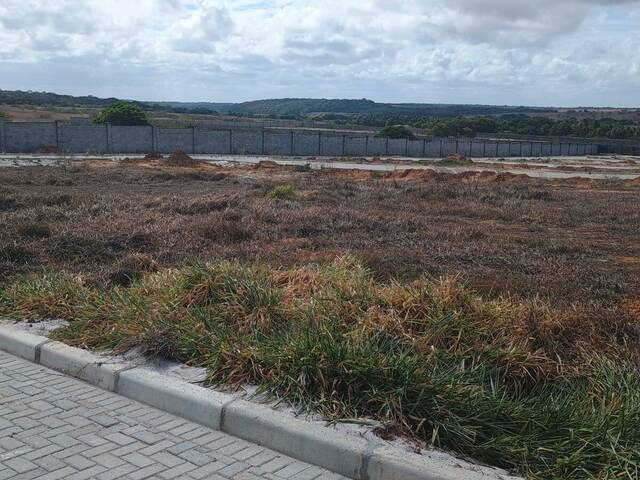Área para Venda em Tibau do Sul - 4