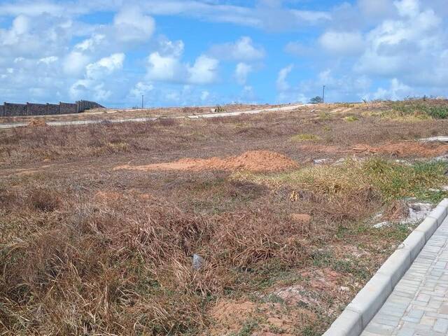 Área para Venda em Tibau do Sul - 5