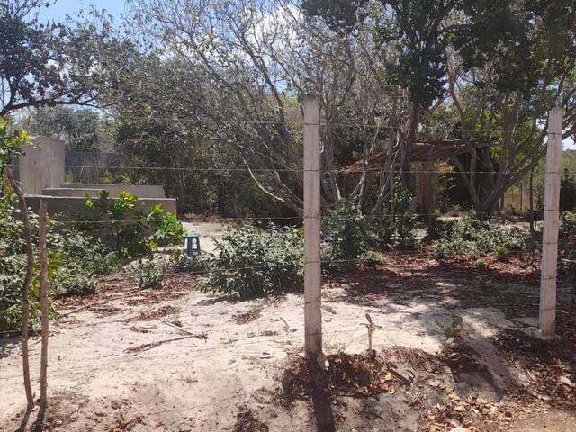 Terreno para Venda em Tibau do Sul - 5