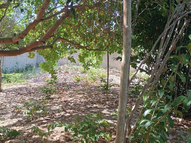 Terreno para Venda em Tibau do Sul - 4