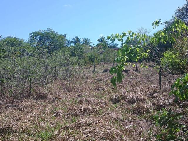 Terreno para Venda em Tibau do Sul - 5
