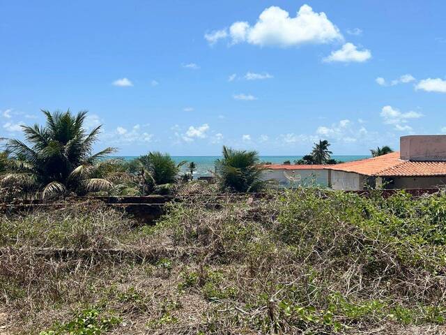 Terreno para Venda em Tibau do Sul - 4